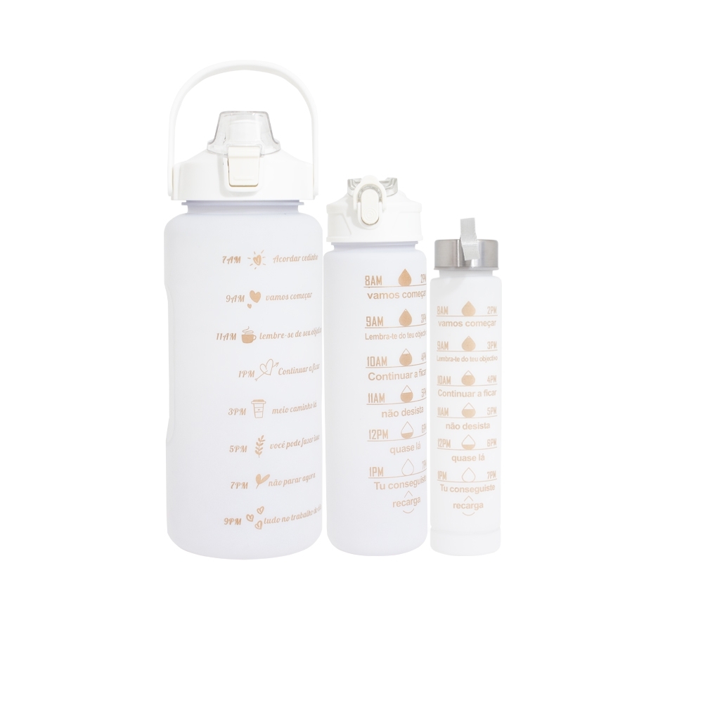 Kit 3 Garrafas - P@03036